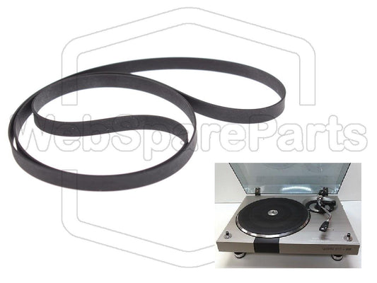 Cinghia di ricambio per giradischi BSR Quanta 500 SILVER Version