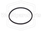 Cinghia ricambio per apertura/chiusura cassetto CD Denon ADV-S302 (S-302