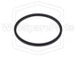 Cinghia di ricambio per videoregistratore Panasonic AG-6040E Time-Lapse