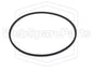 Cinghia di ricambio per videoregistratore Thorn Fergunson FV-45X
