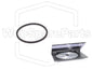 Cinghia ricambio braccio per giradischi Bang & Olufsen Beogram 3000 Type 5901